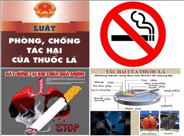 Hoạt động phòng, chống tác hại của thuốc lá trên địa bàn tỉnh Đắk Lắk năm 2025